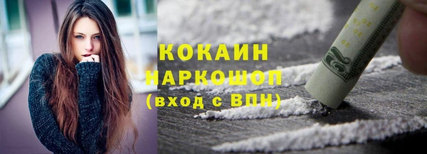 стафф Алексин