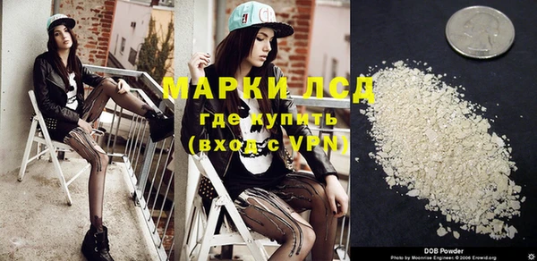 стафф Алексин