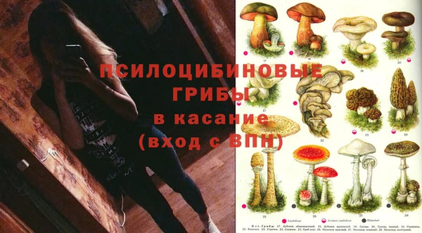стафф Алексин