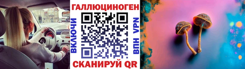 Псилоцибиновые грибы Psilocybine cubensis  даркнет сайт  Алатырь 